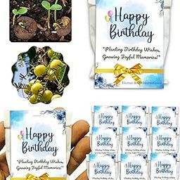 Seed Balls Return Gift for Birthday 2 Seed Balls Per Packet, Plantable Seed Ball, Individually Packed Eco-Friendly Return Gift (Pack of 10) (Amla)-image-95