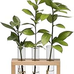Labzio Wooden Flower Vase – Handcrafted Decorative Stand with 3 Borosilicate Glass Test Tubes | Perfect for Home, Office, Living Room, Indoor Plants, Bedroom & Wedding Décor Gift-image-7