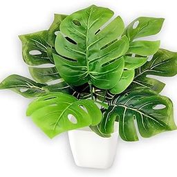The Dekkorit Artificial Green Decor Plants for Indoor Usage of Desk, Home, Offices, Living Rooms, Bedroom, Kids Room, Study Table, Centre Table of Size - 11 Inches (Pack of 1- with Pot)-23