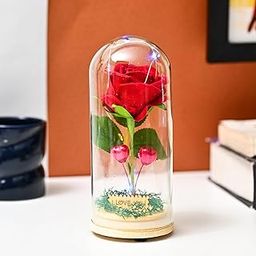 ZAICUS Eternal Red Rose in Glass Dome with LED Lights – A Beautiful Keepsake for Valentine's Day, Anniversaries, Birthdays, and Special Moments-image-56