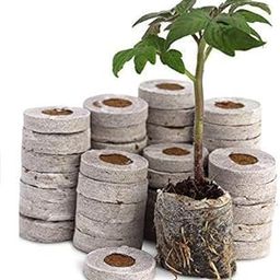 SEEDLING PLUGS - Netted Coco Coins - Hydroponics Seed Germination kit - Coir Netted Coins - Pro Tray Systems - Pack of 10-image-65