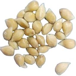 Lemon Quality Seeds Organic Lemon Seeds | Nimbu Beej | Citrus limon For Pots Farming & Gardening Seeds planting home garden all seasons seeds[Only seeds No friuts] (pack of No's) (25)-image-16
