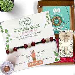 Bombay Greens Plantable Rakhi for Brother Eco- Friendly DIY Grow Kit| Grow Plants from Seeds Rakhi | Rakhi Gift Set for Brother – Beads Band-image-62