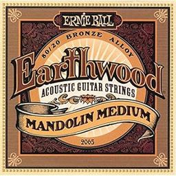 Ernie Ball 2065 Earthwood 80/20 Bronze Mandolin Medium Strings-10