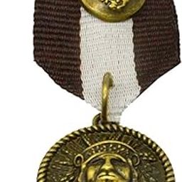 Medal Shape Ribbon Military Badge Brooch-17