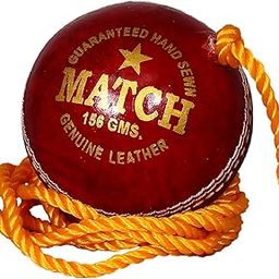 SPRIDE Club Practice Hanging Leather Cricket Ball Red-image-64