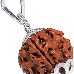 5 Mukhi Original & Lab Certified Nepali Rudraksha With Silver Pendant | 5 Faced Natural & Certified Astrological Rudraksha For Unisex Men & Women | Positive Effect, 20-25 mm in-image-59