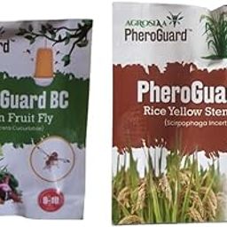 BC Bactrocera Cucurbitae Lure | Melon Fruit Fly Control for Agriculture Pack of 20 | & | SI Rice Yellow Stem Borer Lure - Scirpophaga Incertulas | Pack of 5-image-7