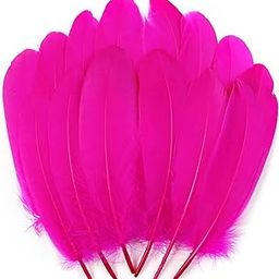 Tdas 50+ Pcs Natural Dyed Goose Feathers for Craft 6-8 inches Arts Fluffy Dream Catcher Making kit for Decoration Projects Earrings Colourful for Kids Handmade Wedding Home (Pink)-image-92