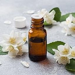 NATURE'S TOUCH Essence of Nature Hydrosol Water | Hydrosol Mist Spray for Face and Body (500 ML, JASMINE)-image-91