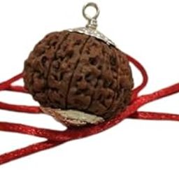 BluDiamond 16 Face Rudraksha Original Certified सोलह मुखी रुद्राक्ष Natural 16 Mukhi Rudraksha Nepali Brown Bead Solah Mukhi Rudraksha Silver Pendant 16 मुखी रुद्राक्ष For Dhyaan-image-68