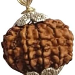 बारह मुखी रुद्राक्ष 12 Mukhi Nepal Rudraksha Precious Barah Mukhii Rudrakshaa Twelve Mukh Rudraksh Original Certified 12 मुखी रुद्राक्ष ओरिजनल 12 Twelve Face Rudrakshas Pyayer Bead For Puja-picture-26