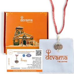13 Mukhi Rudraksha Pendant – Certified & Energized for Attraction, Prosperity, and Venus-Kamadeva Energy-image-28