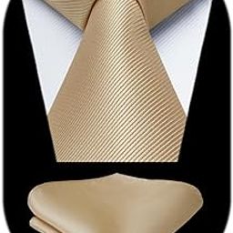 Mens Solid Champagne Tie Classic Necktie Tie and Pocket Square Set with Gift Box by HISDERN-image-2
