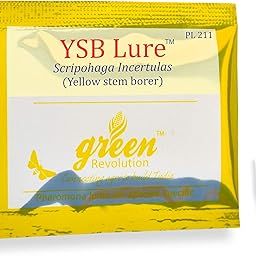 Green Revolution YSB Lure (Scirpophaga incertulas Pheromone) - Pest Control - Pack of 50-image-81