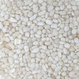 BKD-Polished Decorative White Stones - (Small, 2Kg) (0.5cm - 2cm) for Home Decoration, Vase Filler, Aquarium/Fish Tank, Garden and Swimming Pool | River Pebbles Unplanted Substrate (2 kgs)-image-97