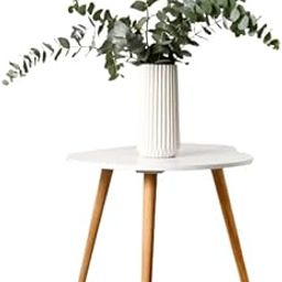 Real Fresh Eucalyptus Large Shower Bundle in a Box | 100% Natural Handpicked Eucalyptus Plant Leaves Decor for Shower | Luxurious Touch of Natural Aromatherapy | Stress Reliever Indoor Plants-image-85