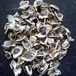 Syed Moringa Seeds (Black) - Pack of 100 Seeds-image-98