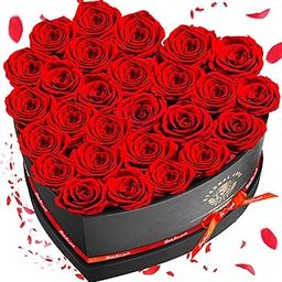Impouo Preserved Rose in Heart Shape Box, 27 Forever Flowers, Eternal Roses, Birthday Gifts for Women, Wife, Her, Mother's Day, Valentine's Day Red Roses-image-1