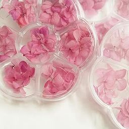 Preserved Colombian Hydrangea Real Natural Dried Flowers Nail Decoration(50 pic) (50, Pink)-image-42
