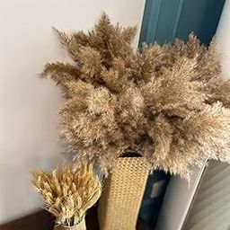 Sorcish Natural Dried Pampas Grass 6 pcs Brown Color Size (25 inches)-1