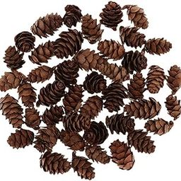 THE STYLE SUTRA 60Piece Pine Cone Pineal Nuts Party Decorations Adornments Vase Bowl Fillers | 60 Pieces Natural Small Pine Cones in Bulk,-image-71