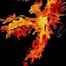 MagicTails | Art Print | Blazing Phoenix | 8 in x 11 in-image-26