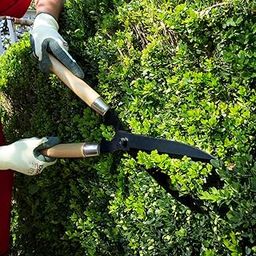 TrustBasket Heavy Duty Garden Shear – (4.5 mm Think, 7 inch Long, Metal Blade) Comfortable Grip for Trimming, Pruning, Cutting, Hedge Cutter Tool for Lawn, Hedge Trimmer for Garden-image-16