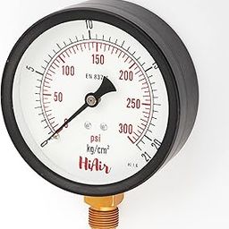 HiAir Pressure Gauge 100mm (4inch), 3/8BSP, Bottom Connection, DM (Direct Maunting) (1, 300psi (21kg))-32