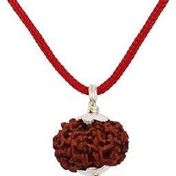 ASTRODIDI 8 Mukhi Rudraksha Original Certified Java Eight Face Small Size Silver Coated Pendant with Lab Report | Astrological Benefits | Unisex Design for Men & Women-picture-32