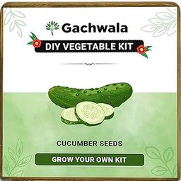 Gachwala Cucumber Seeds Grow Kit | DIY Grow it Yourself Gardening Kit for Home and Garden | Cucumber Seeds Gardening Kit-image-37
