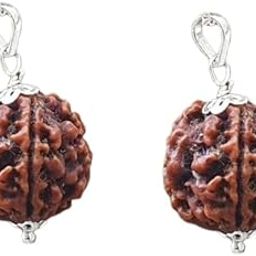 4 Mukhi Rudraksha Original Certified Nepali Four Face Rudraksha With Capping AA++ Quality Chaar Mukhi Rudraksha Unique & Beautiful 4 Face Ruthratcham For Men & Women Buy 1 Get 1 Free-31