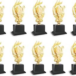 10 PC Trophy 04 for Events, Functions, Award (19 cm)-picture-27