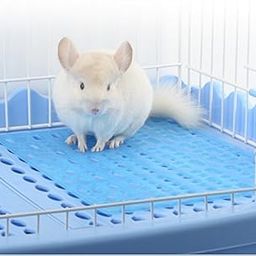 Comfortable Cage Floor Mat for Healthier Paw of Rabbit/Guinea Pig/Ferret/Cat/Kitten/Chinchilla (1 Piece)-26