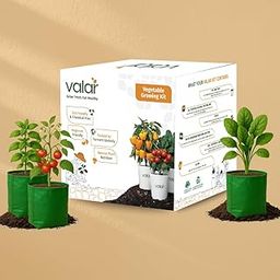The Beginner's Bounty Kit | Organic, Non-GMO Seeds | Home Gardening Set for Fresh Salads & Curries (Pack of 3)-picture-23