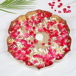 Two Moustaches 12 Inches Ethnic Carved Flower Design Urli Bowl for Home Decor, Urli Bowl for Flowers Decoration, Home Decoration, Bowl for Floating Flowers, Housewarming Gifts, Golden, Pack of 1-20