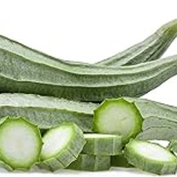 Ridge Gourd Seeds Vegetable Hybrid Seeds for Home Garden for Planting (200 Seeds) By Zabbus-image-8