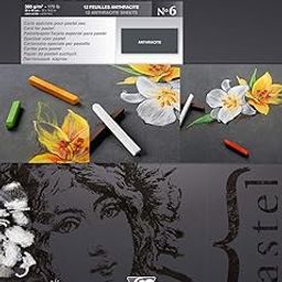 Clairefontaine 30 x 40 cm Pastelmat Glued Pad in Assorted Colours-17