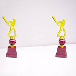 Man of The Match Cricket Batsman with Metal Ball (24CM) Pack of 2-image-65