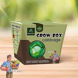 Organic Cabbage Vegetable Grow Box/KIT | Includes Large Pot,Potting Mix,Seeds,Scraper Tool,Root-O-Shoot,Plant NUTRIFIER,Bug Deterrence Powder,Perfect for Home Kitchen Garden,DIY & Gifts-image-43