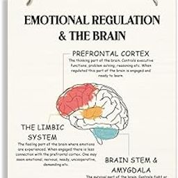 Emotional Regulation & The Brain Wood Sign, Therapy Decorations, Hanging Wooden Plaques Decor, Mental Health Wall Art, Neuroscience Decor, Therapist Office Decor, Wall Decor for Counseling Room-image-3