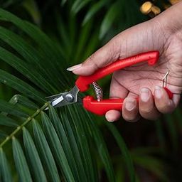 TrustBasket Garden Pruner – Pruning Scissors for Plants, Grafting Knife for Plants, Gardening Tools Kit for Home Garden Use-image-95