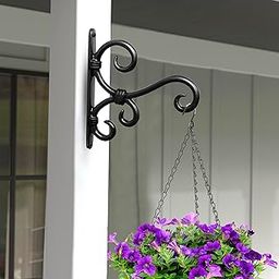 Growfynd ® Metal Wall Hook Hanging Plant Bracket Black Powder Coated | Decorative Straight Plant Hanger for Pots, Bird Feeders, Planters, Lanterns, Cotton, Wind Chimes Indoor Outdoor (Pack of 1)-image-58