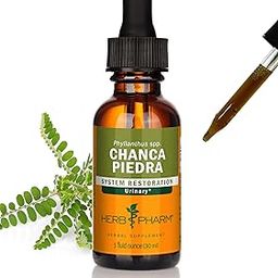 Herb Pharm Chanca Piedra Extract liquid for Urinary System Support - 1 Ounce-picture-26
