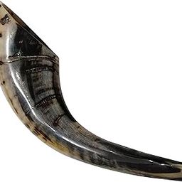 Natural Ram Sheep Horn Shofar Natural Half Polished for Rich Sound Authentic Ram Horn Shofar Handcrafted and Half Polished-image-74