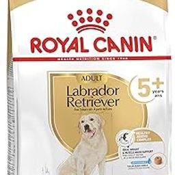 Royal Canin Dog Labrador Dry Retriever 5+ Adult, 3000 G-picture-26