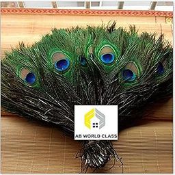 AB WORLD CLASS Mor Pankh/Feathers (Multicolour)-Set of 20 pcs,for all age-6