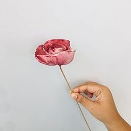 Vanchai Natural Dried Chambray Sola Flower, Dried Chambray Sola Flower, Vase Filler for Home, Office, Bedroom, Table Corner Decoration, DIY Craft ? Set of 5 (Ombre Wine Sola Flower (5pcs))-picture-30