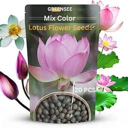 Lotus Flower Seeds, 100% Germination Lotus Mix Flower Seeds (Pack Of 25 Seeds) Premium lotus seeds Beautiful Aquatic Blooms for Garden & Pondss-image-44