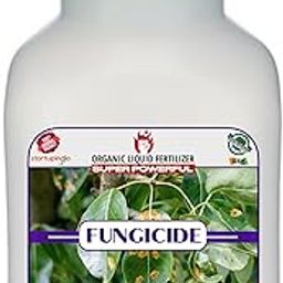 Sansar Green® Liquid Fungus remover, Essential Powerful Organic Liquid for removing all types of Fungus From Plants. (100 ml)-image-65